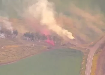 МЧС России: обстановка в Курской области отнесена к ЧС федерального характера 